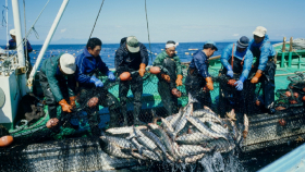 Россия не разрешила Японии добычу рыбы у Кунашира